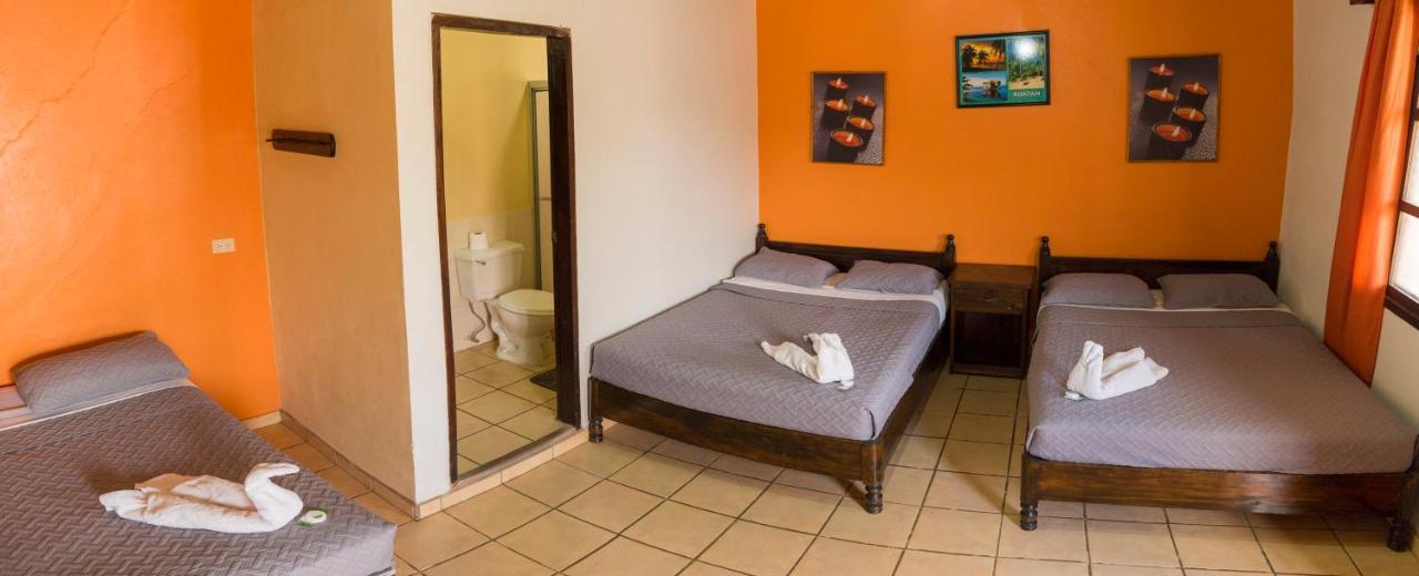 Copán Berakah B&B- Central Park المظهر الخارجي الصورة