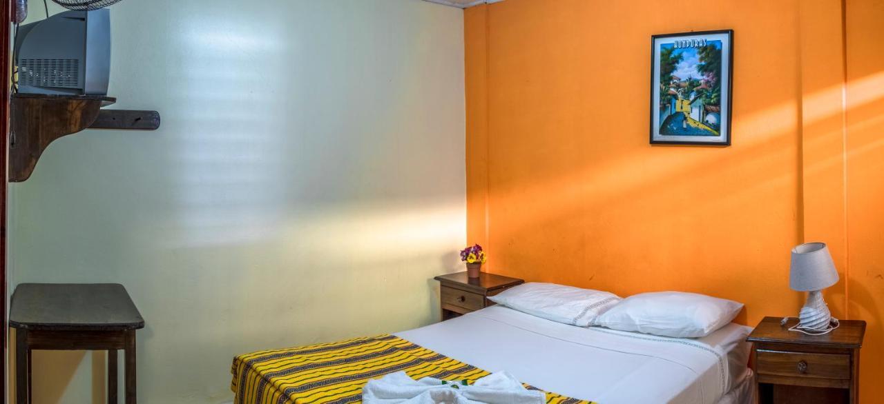 Copán Berakah B&B- Central Park المظهر الخارجي الصورة